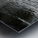 Ducking a Black Swan Moment Impression metal