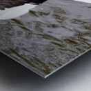 A Black Swan Moment 2 Metal print