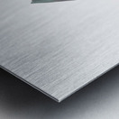 Horsehead Sculpture 2 Metal print