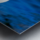 Riverside Swan Close-Up Metal print