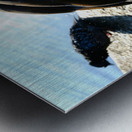 Is the Sky Falling...Just Checking Metal print