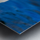 Swan Face 3 Impression metal