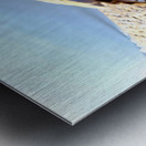 Duck Pose Impression metal