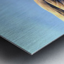 Duck Face 1B Metal print