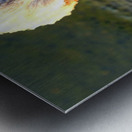 Evil Eye Swan Impression metal