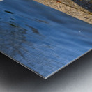 Lake’s Guardian Metal print