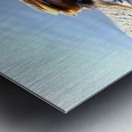 Graceful Pause Impression metal