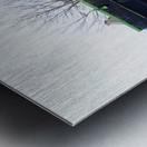 “CBD & Concrete” – Raw Real and Rooted Metal print