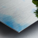  Offering of the Wild Metal print