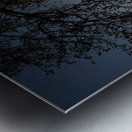 Golden Michigan Sunrise Metal print