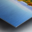 A Golden Gaze Metal print