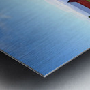 Raising Sunshine Sunflower Farm Metal print