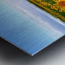 The Heart of Summer  Impression metal