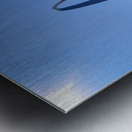 Waterside Wonder Metal print