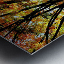 A Stroll in Color Metal print