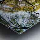 The Quiet Barrel Impression metal