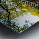 Parkside Cannon Metal print