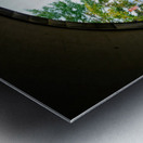 Tranquil Passage Metal print