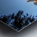 Urban Calm: Central Park View Metal print