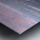 San Francisco Horizon Metal print