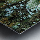  Frosted Pine Cones  Metal print