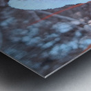 Thorny Lollipop Winter Thistle  Metal print