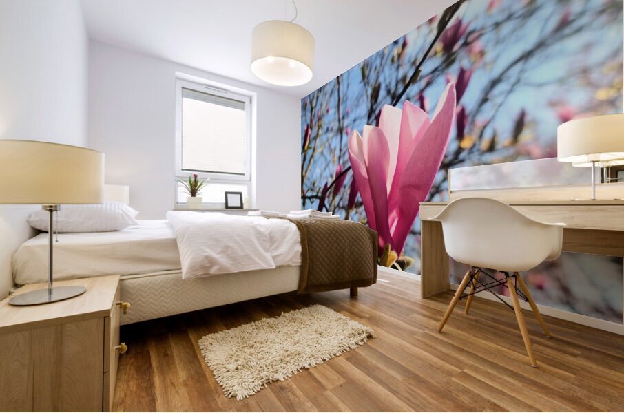 Spring Sun Worshipping Magnolia Impression murale