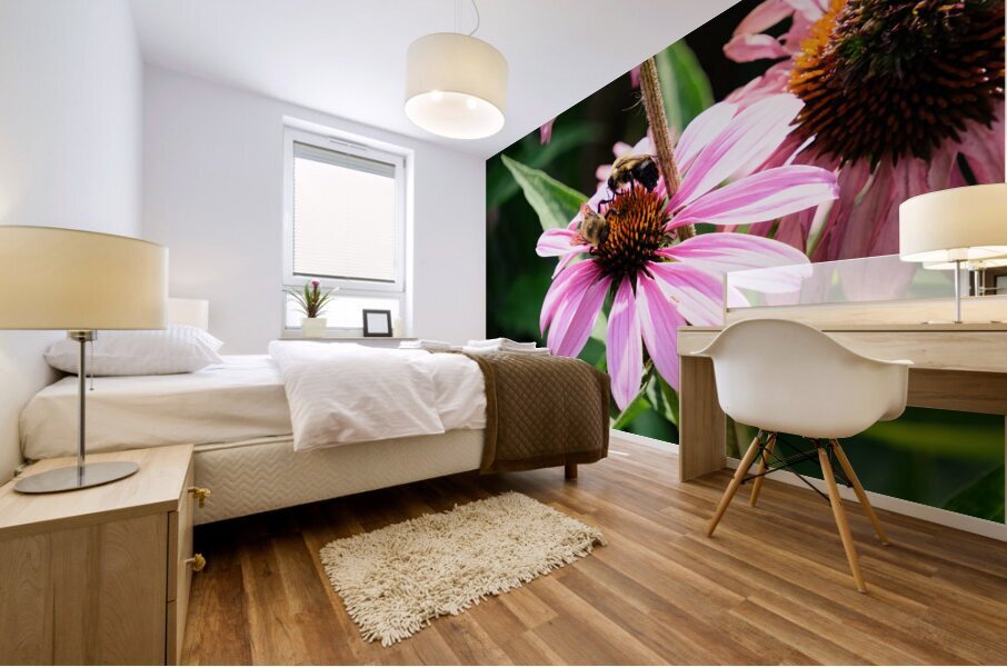 Duo at Dawn: Bees on the Coneflower’s Crown Impression murale