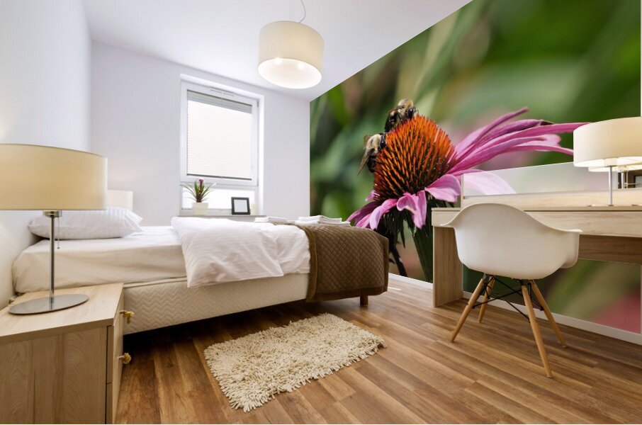 Harmony on a Purple Coneflower Mural print
