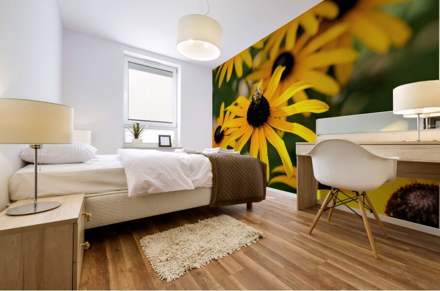 Bee One with Black-Eyed Susan Mural print
