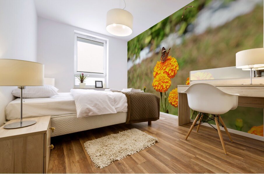 A Butterfly’s Pause Amid Sunfire Blooms Impression murale