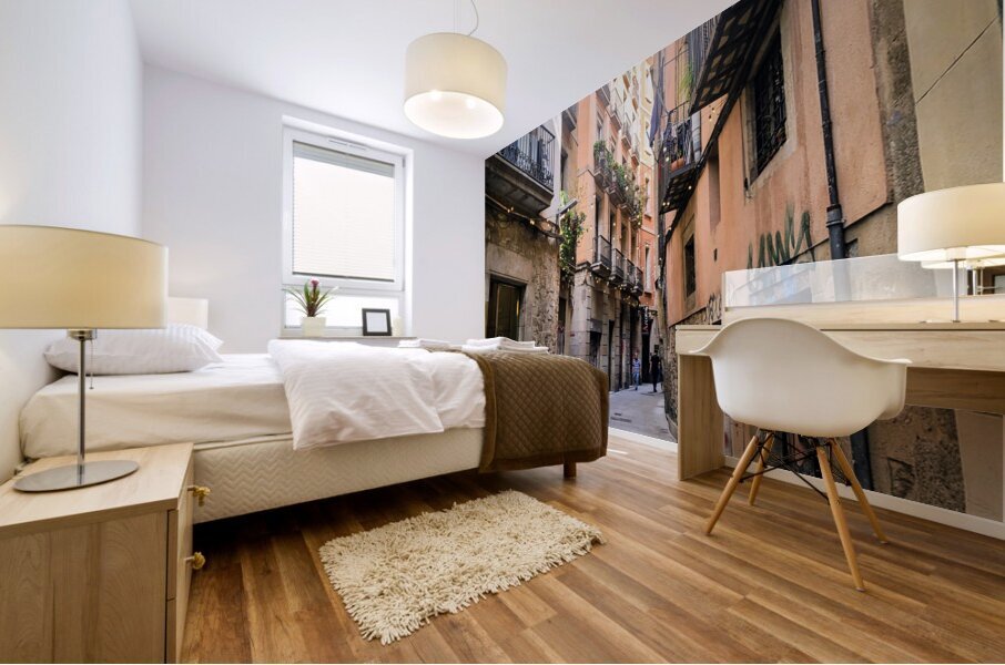 Streets of Barcelona: Where the Shadows Sleep Mural print