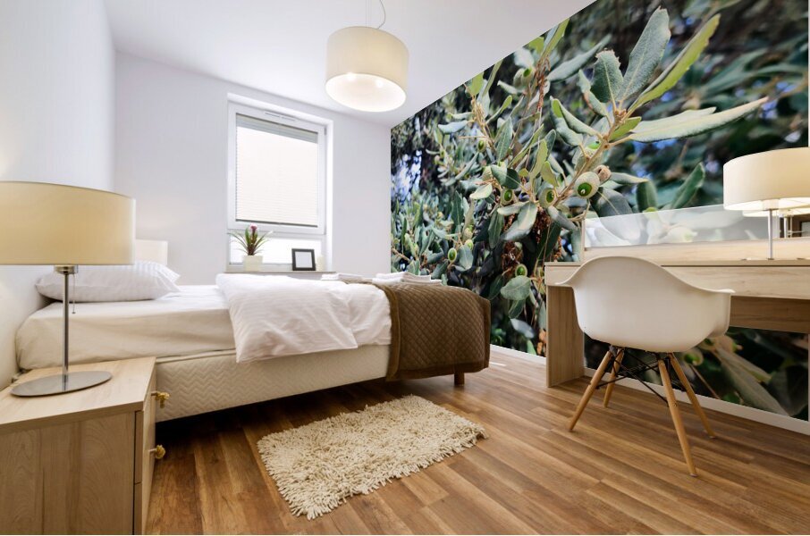 Acorn Awakening Impression murale