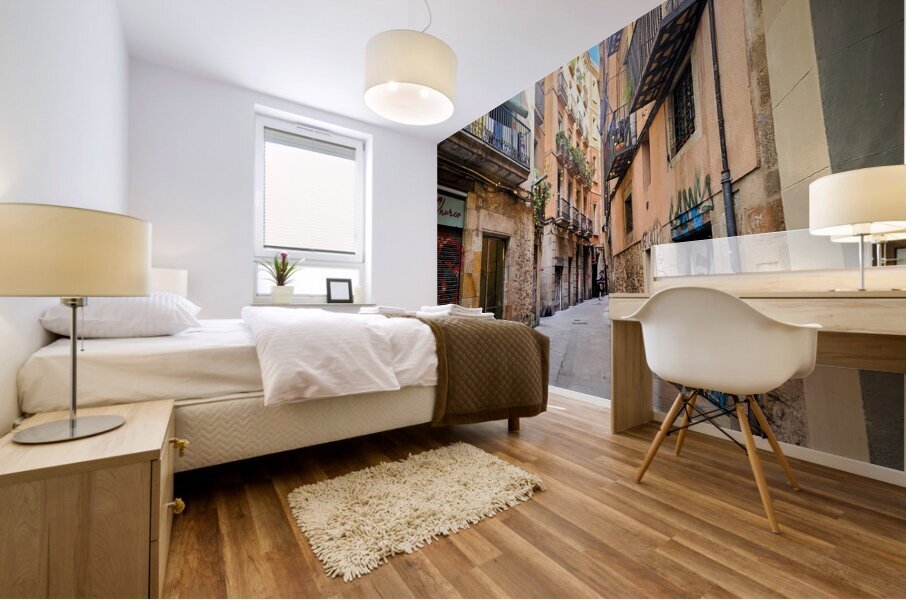 Streets of Barcelona: Where Stories Sneak Between Walls Impression murale