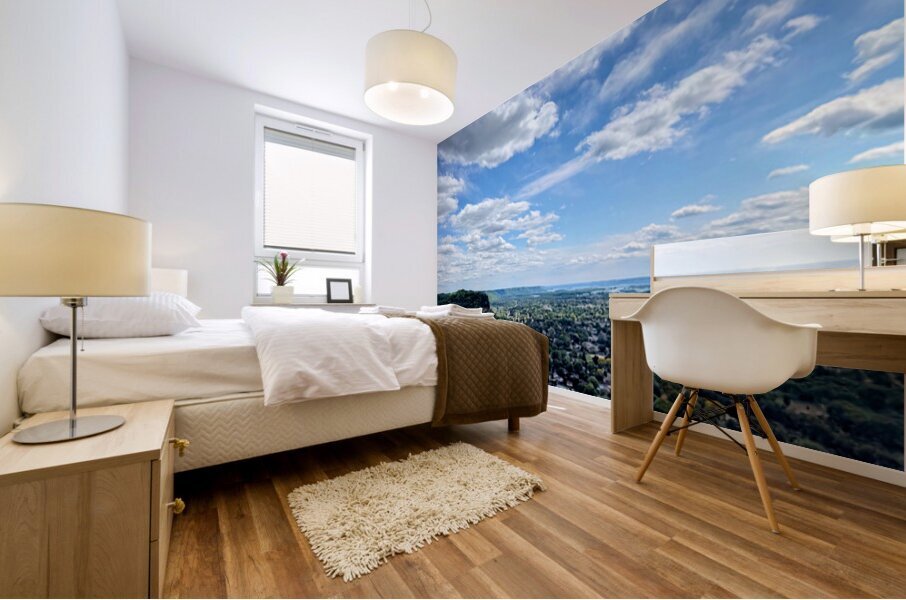 Sunlit Hometown Mural print