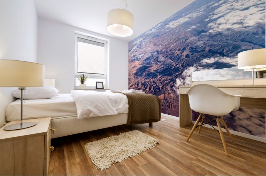 Veins of the Earth: Colorado River from Above Impression murale