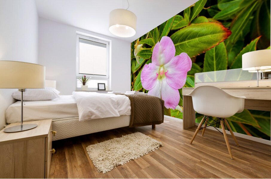 Impatiens: One Quiet Bloom Mural print