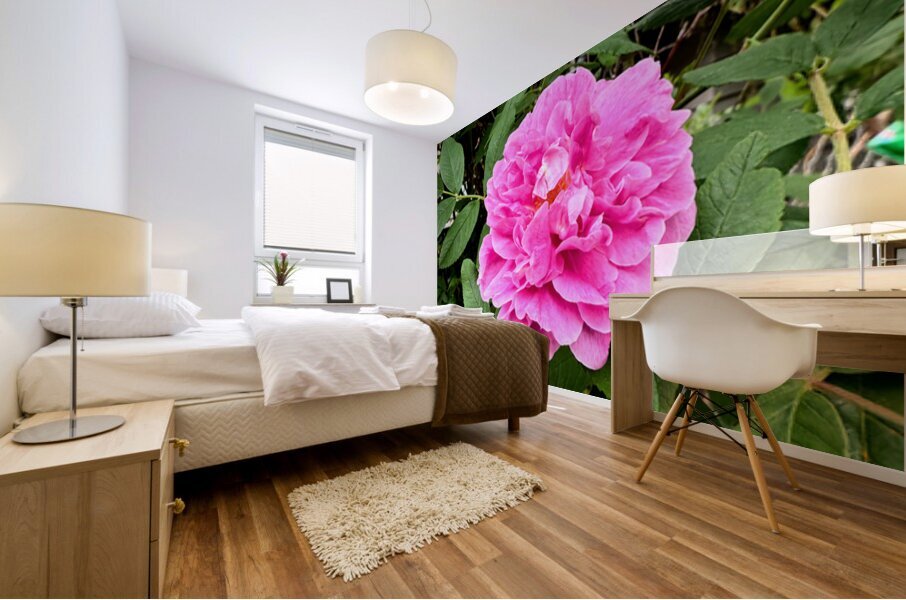 Wild Grace: The Rugosa Bloom Impression murale