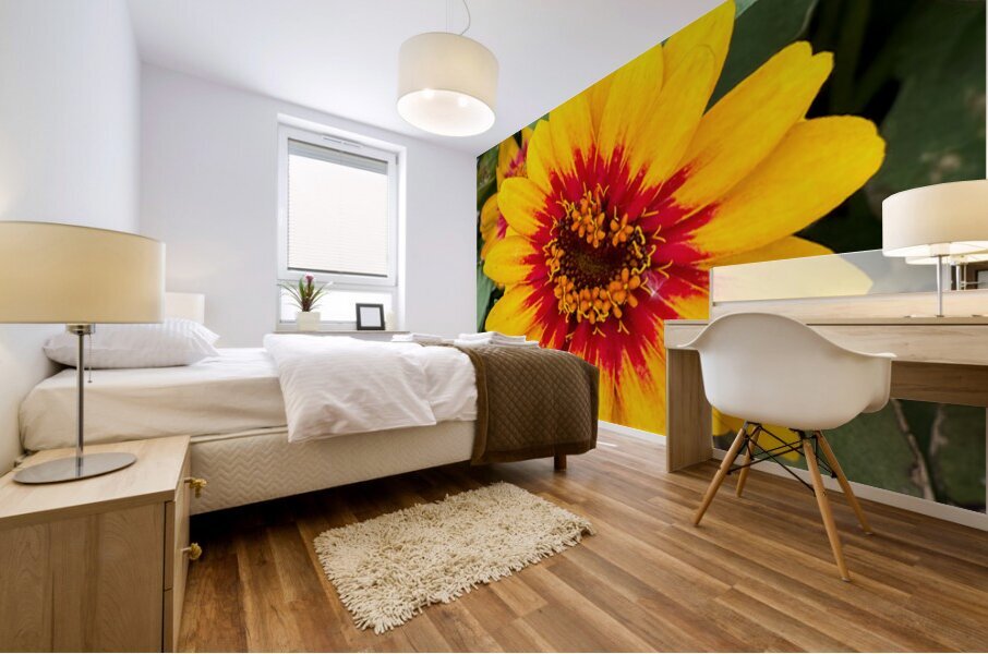 Solflare Echo Mural print