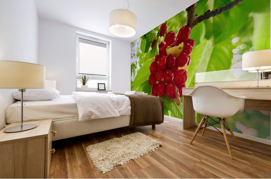 The Patience of Fruit: A Quiet Celebration Impression murale