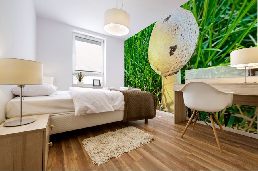 The Philosopher’s Cap Impression murale