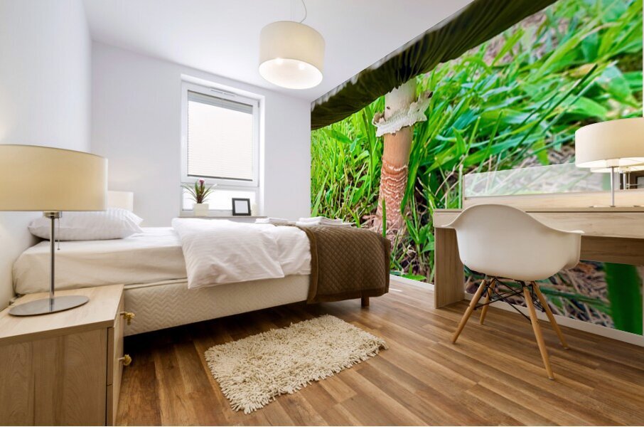 Under the Cap: A Fungal World Revealed Impression murale