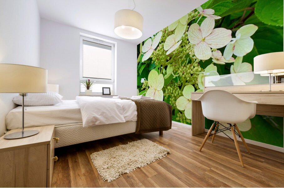  Pale Hydrangea Cluster Mural print