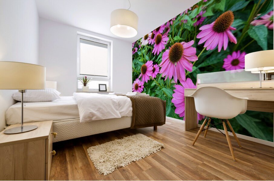 Field of Echinacea Dreams Mural print