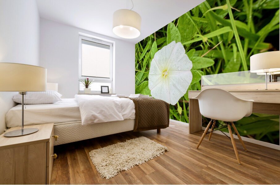 Bindweed Still Life in Nature Mural print