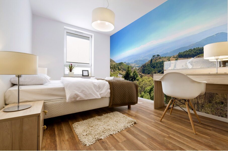 IMG 9665 Mural print