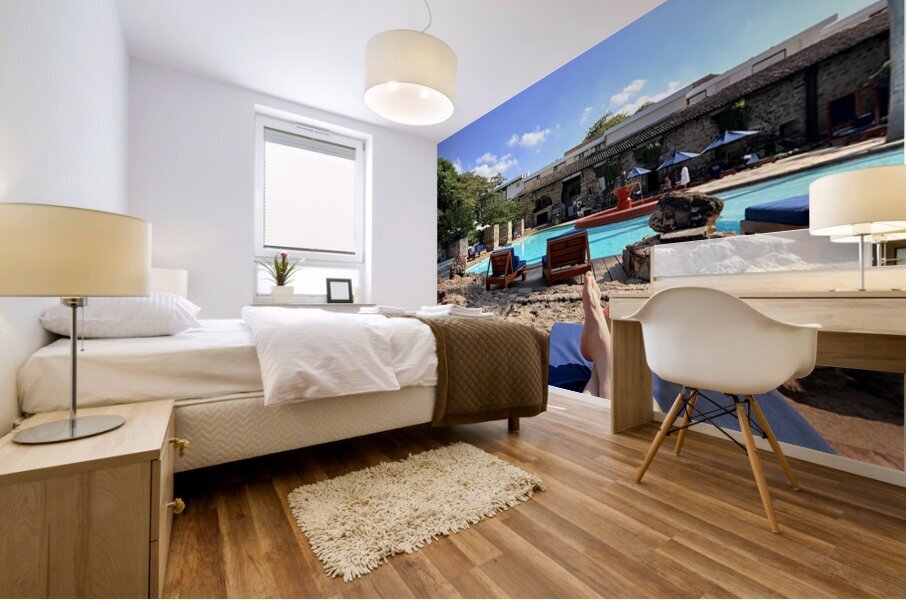 IMG 0342 Mural print