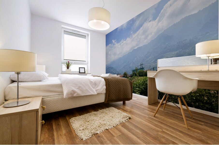 IMG 9268 Impression murale