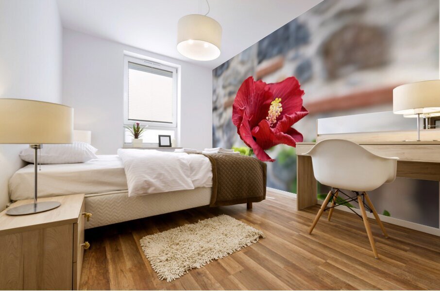 IMG 9957 Impression murale