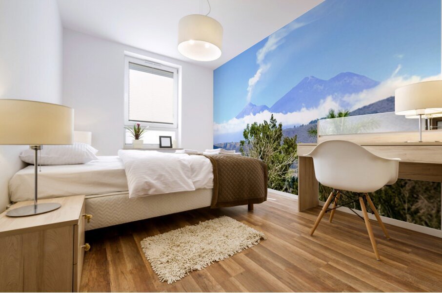 IMG 0148 Impression murale